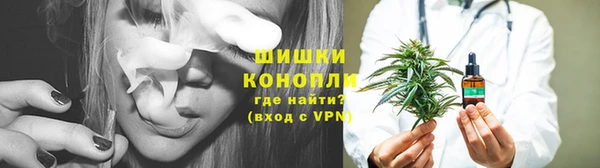 бошки Белокуриха