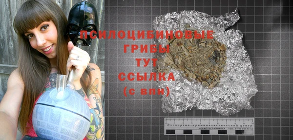 бошки Белокуриха