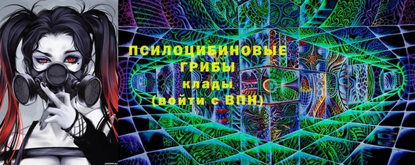 бошки Белокуриха