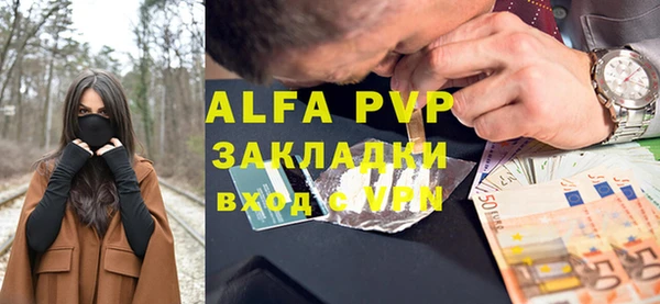 бошки Белокуриха