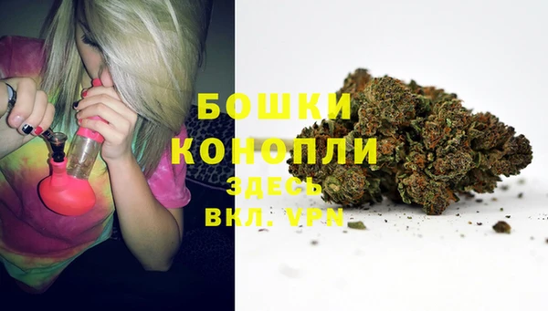 бошки Белокуриха