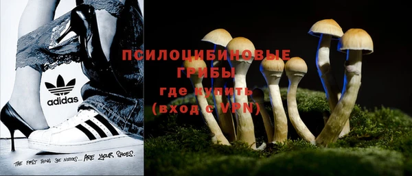 бошки Белокуриха